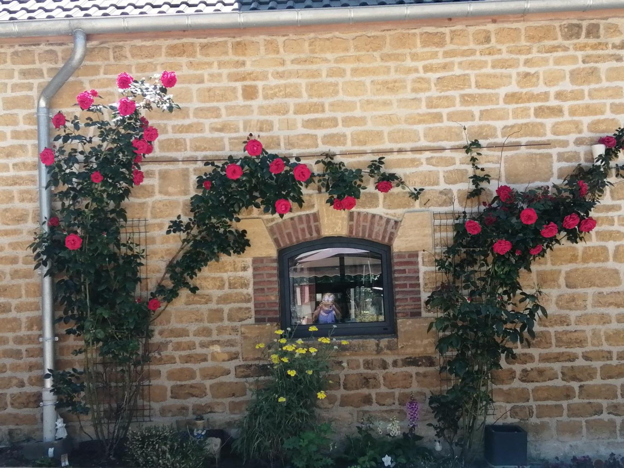 O Jardin De Boutancourt Villa Exteriör bild