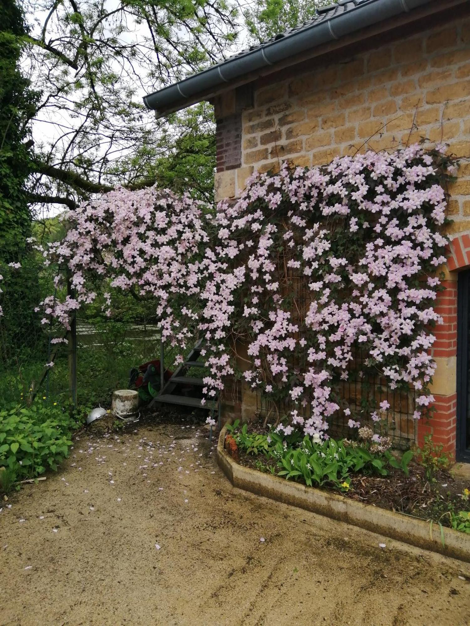 O Jardin De Boutancourt Villa Exteriör bild