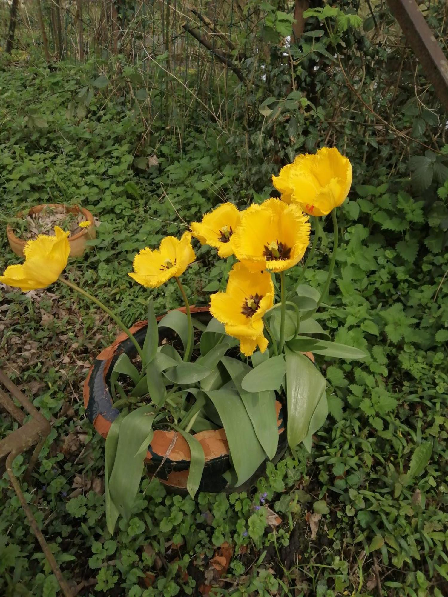 O Jardin De Boutancourt Villa Exteriör bild