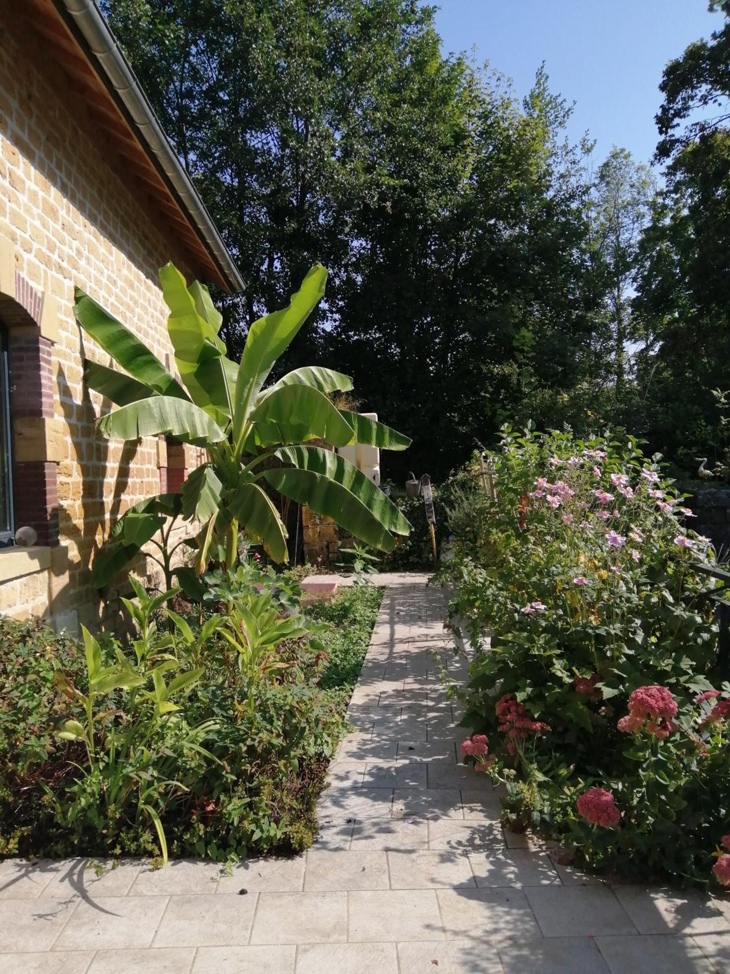 O Jardin De Boutancourt Villa Exteriör bild