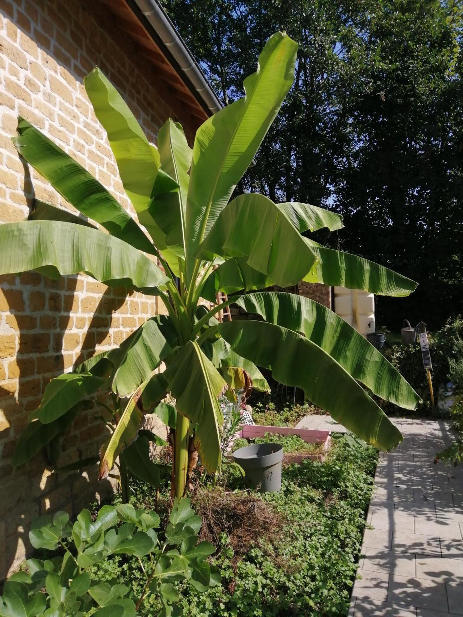 O Jardin De Boutancourt Villa Exteriör bild