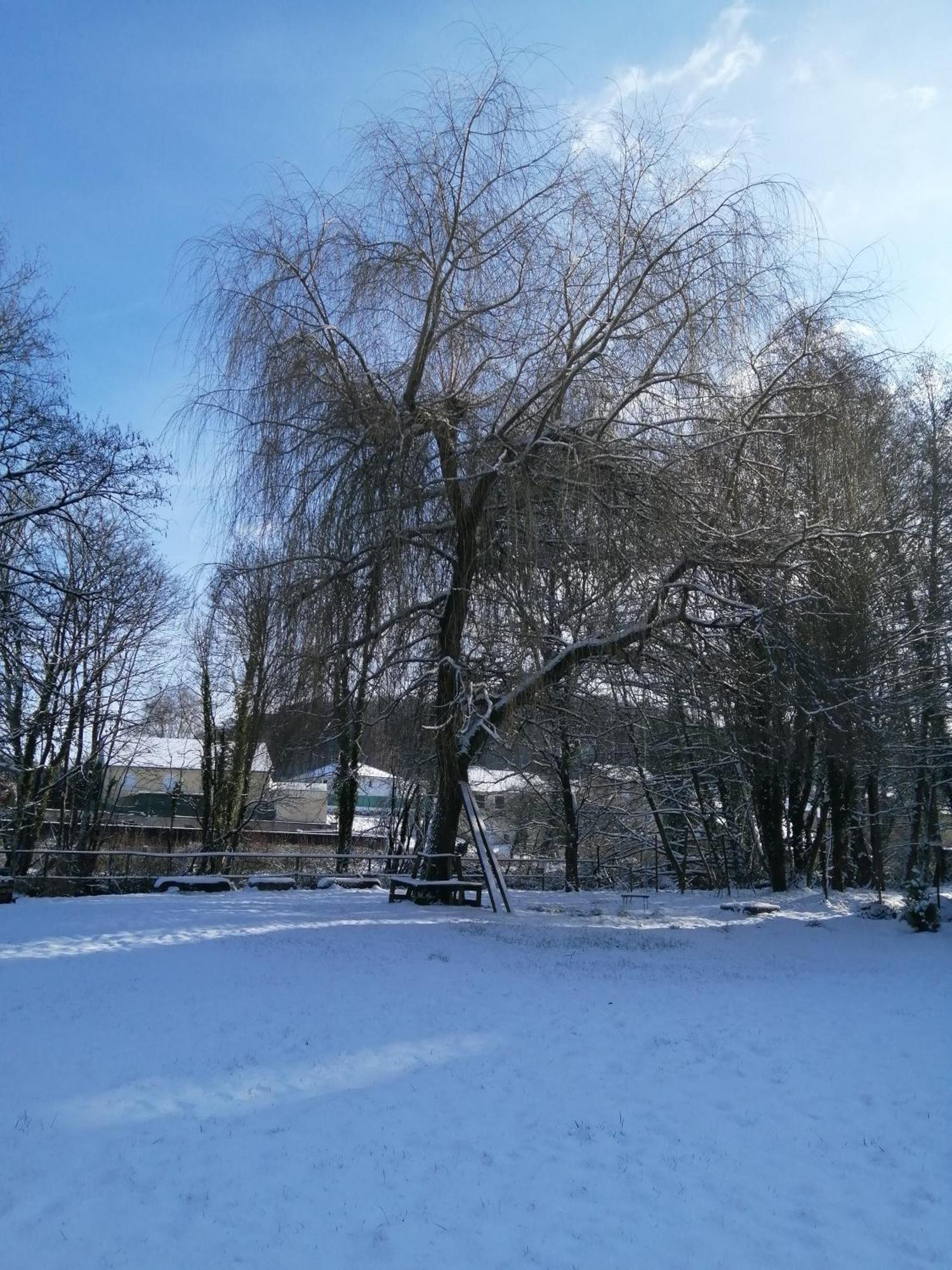 O Jardin De Boutancourt Villa Exteriör bild