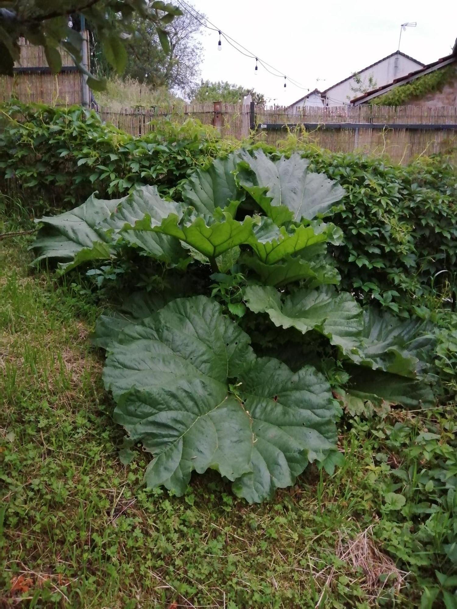 O Jardin De Boutancourt Villa Exteriör bild